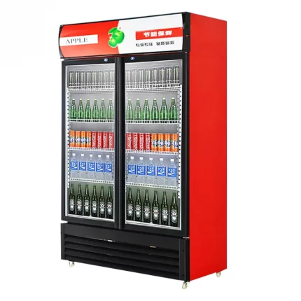 2-door beverage display freezer
